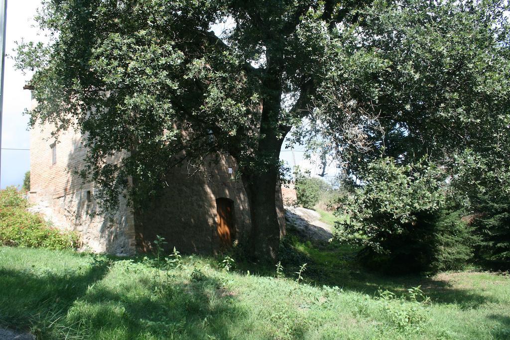 Cal Cisteller Gironella Quarto foto